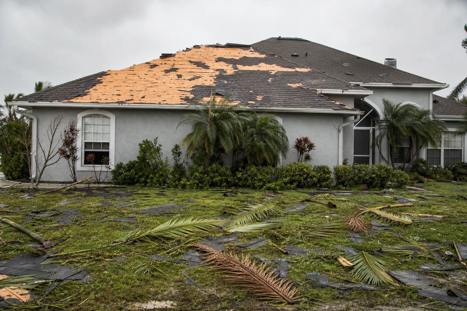 Wind Damage